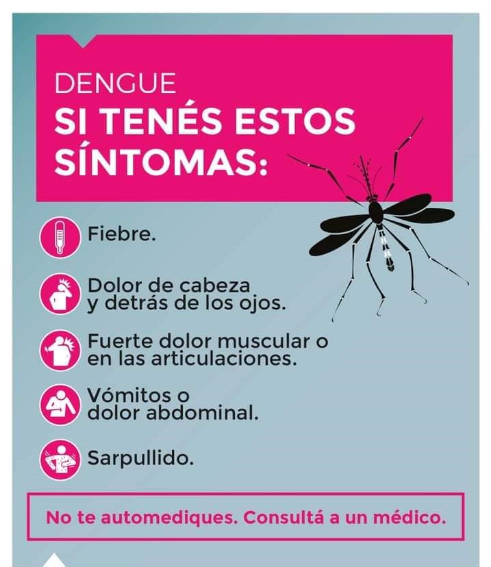 Error al cargar la imagen